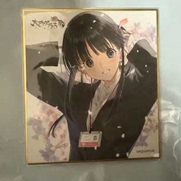 대 아쿠아 플러스 축제 색지 스기우라 코하루 혜택 WHITEALBUM2