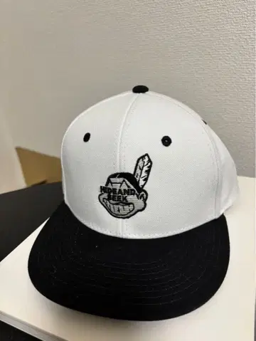 HIDE AND SEEK Indian BaseballCAP 스냅백