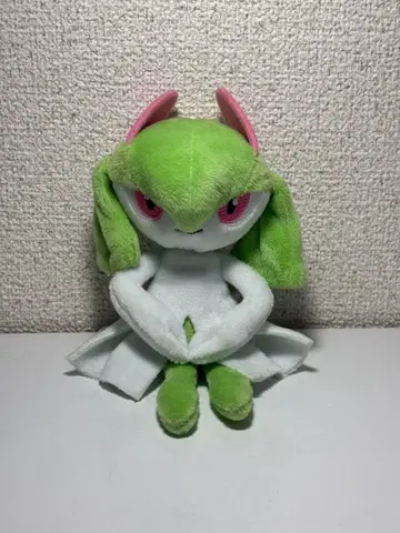 포켓몬 센터 킬리아 봉제 인형 포켓몬 핏