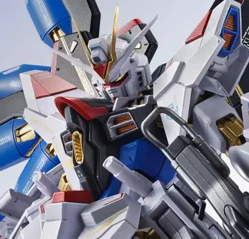 METAL ROBOT혼 <SIDE MS> 스트라이크 프리덤 건담 이식