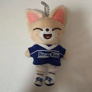 StrayKids 아이엔 폭시니 백참