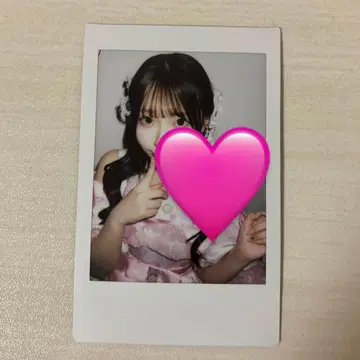 사쿠라바 하루카 폴라로이드