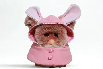 파비 의류 토끼 귀 코트2