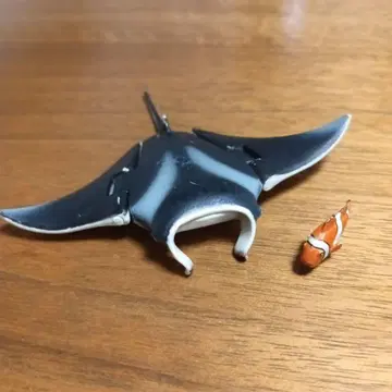 아니아 만타 가시복 포함 타카라토미