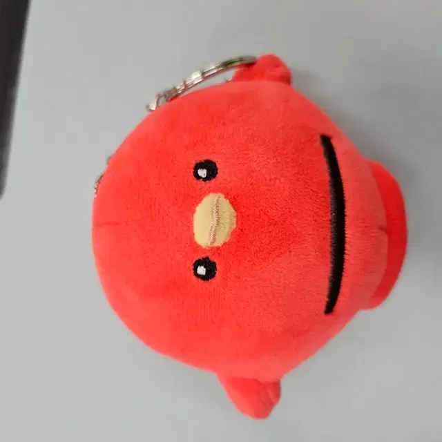 변우석키링 및 응원봉 등