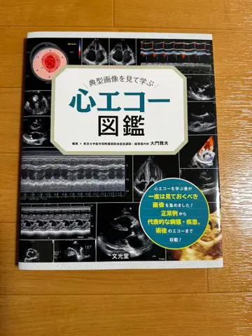 전형적인 이미지를 보고 배우는 심장 초음파 도감