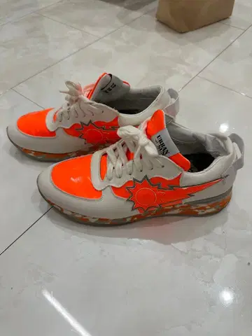 어반선 일본 한정판 Safari 기재