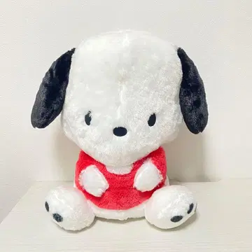 산리오 초초BIG 봉제 인형 폭신폭신 스탠다드 포차코