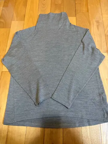 icebreaker 울 터틀넥 M