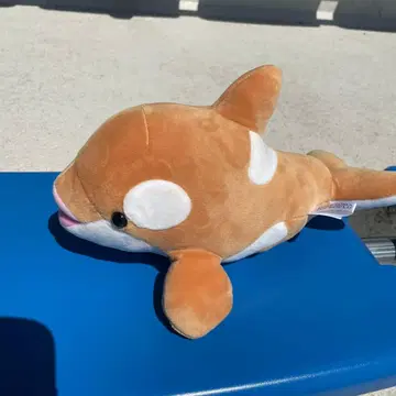 스마 월드 오르카 복권 한정 컬러 4등