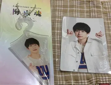 나가오카 렌오 장마혼 세트