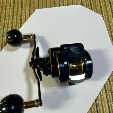 다이와 21 솔티가 ic 300L-DH