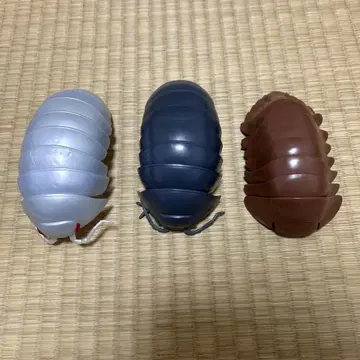 리얼 쥐며느리 3개