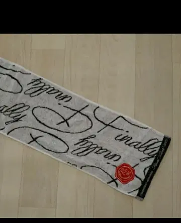 아무로 나미에 Finally 투어 머플러 타월