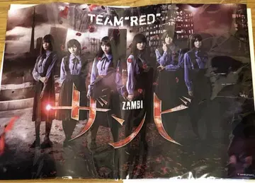 미개봉 새상품 노기자카46 잔비 A4 클리어 파일