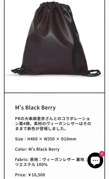 한정판 완판템 union 백팩 M's 블랙베리