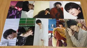 와다 마사나리 브로마이드