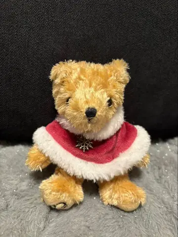 산타 의상 렉서스 베어