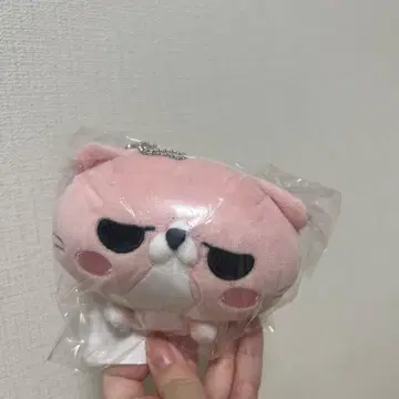 팬텀 베이비 마스코트 봉제 인형 (캇타 군)