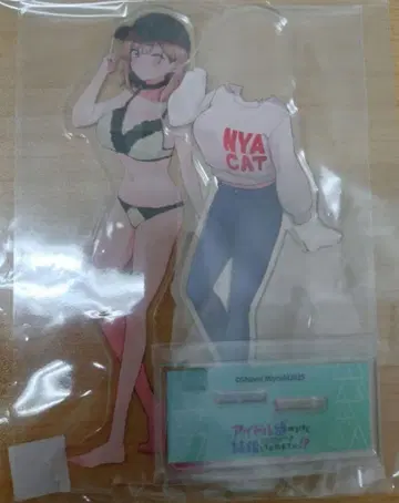 아이돌 그만두지만 결혼해 줄래요!? 2권 게이머즈 아크릴 스탠드