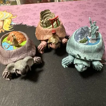 대륙거북 3개 세트