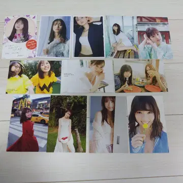 사카미치 시리즈 사진 카드 12장 세트