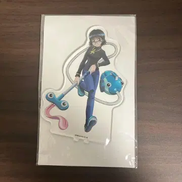 애니카페 시즈쿠 아크릴 스탠드 히소카페 h x h