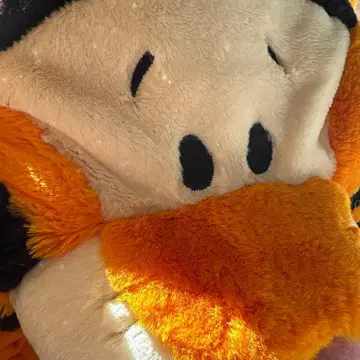 호랑이 얼굴 디자인 봉제 인형 캡