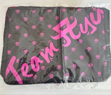 하마사키 아유미 트래블 케이스