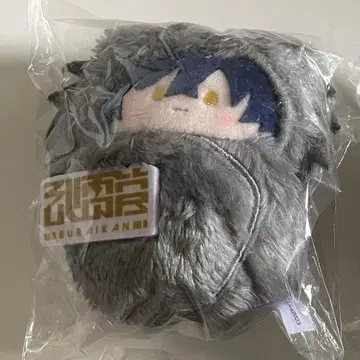 하루오미 타피누이