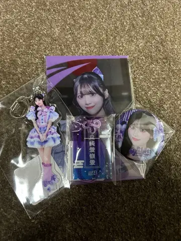 iLife! 무도관 굿즈 순령 미키 키링 등