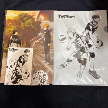 하이큐 클리어 파일 엽서 3장 세트 캔뱃지