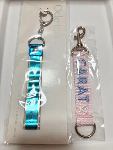 세븐틴 Ode to You 굿즈 키링