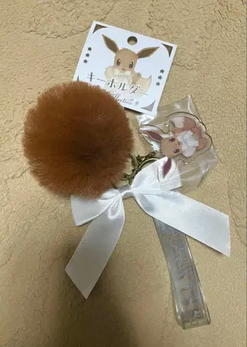 Eevee Collection 이브이 컬렉션 키링 이브이