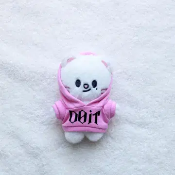 skzoo 스키즈 봉제 인형 의류 현진 지니레트