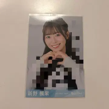 RainTree 신노 후카 생사진 친필 노멀 세트 판매