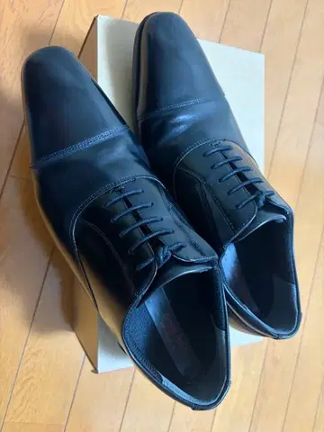 텍시 럭스 TU-8008