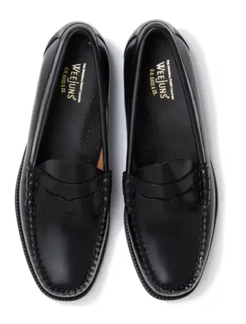 ghbass larson 26.5cm