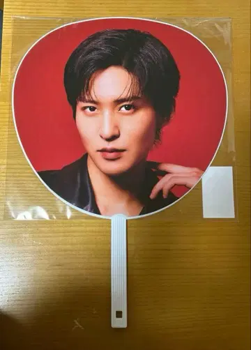 SnowMan 돔 투어 ON 메구로 렌 부채