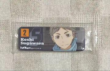 하이큐!! / 롱 캔뱃지 (스가와라 코시)