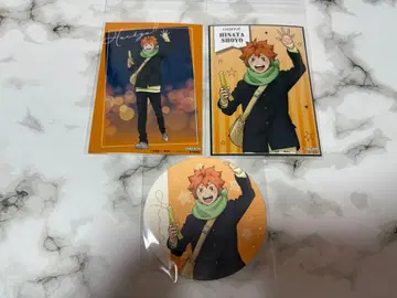 하이큐!! 코스모 월드 히나타 쇼요