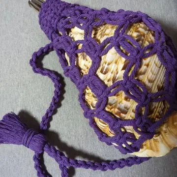 법나팔 조개 그물 ( 소 )