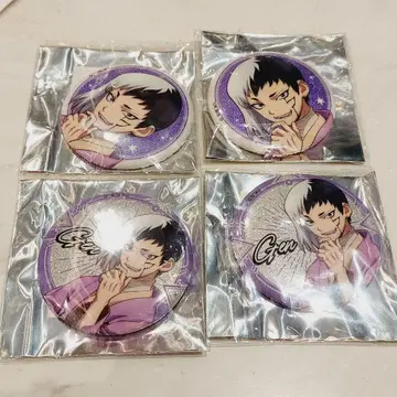 [ 익명 배송 ] 마루이 닥터 스톤 아사기리 겐 캔뱃지 세트