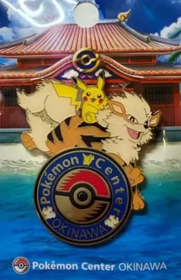 포켓몬 오키나와 로고 핀즈