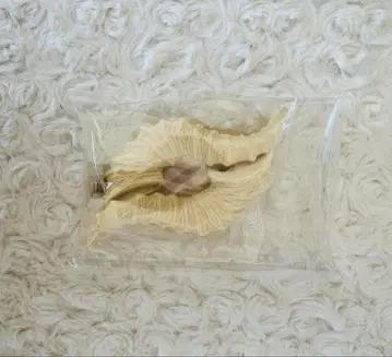 딜러제 SD용 뿔 부품