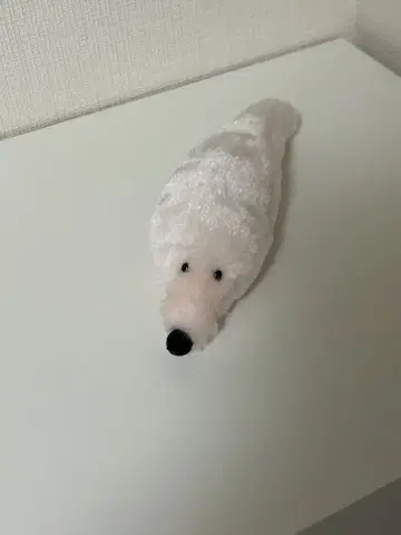 공상 아파트 인터넷 밈 카네히라