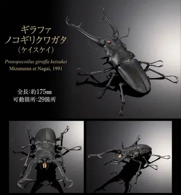 생물대도감 시리즈