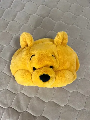 디즈니 푸 푸 팬캡