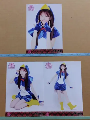 AKB48 치바 에리 20th 일본 무도관 랜덤 브로마이드 컴플리트