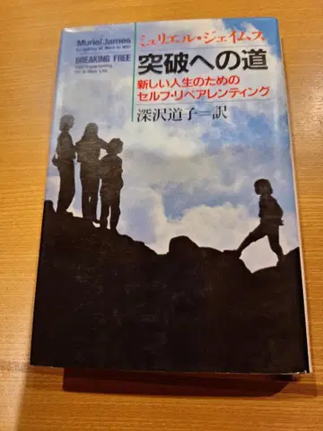 돌파로 가는 길 : 새로운 삶을 위한 셀프 리페어링